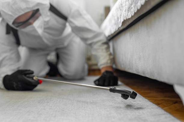 Professional Bed Bug Control technician working in Homewood, IL