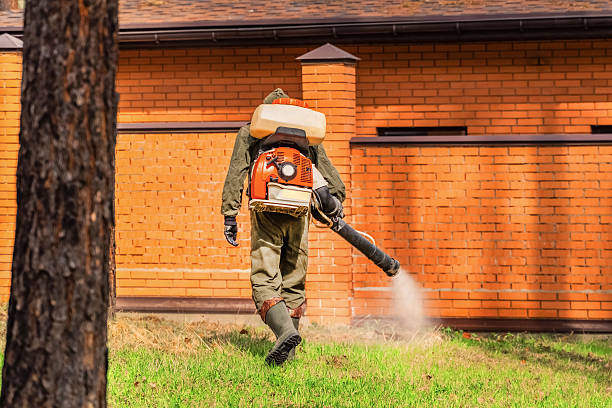 Trusted Rodent Control service in Homewood, IL - Nex Pest Control